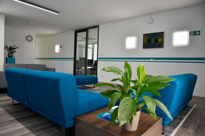 Modernes Büro der Dr. Bittner Group