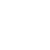 NIS2 Icon - Risikomanagement